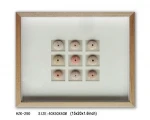 9pcs Sea urchin shadow box decorative wall art
