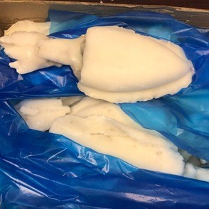 AA Cuttlefish 500/700 Whole Round have stock in United States