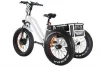 Adult electric tricycle bicycle 3 wheel electric trike electric tricycle250w/350w hub motor lithium battery aluminum alloy frame