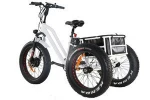 Adult electric tricycle bicycle 3 wheel electric trike electric tricycle250w/350w hub motor lithium battery aluminum alloy frame
