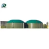 Animal Manure Biogas Electric Generator, Use Organic Waste to Produce Biogas