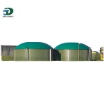 Animal Manure Biogas Electric Generator, Use Organic Waste to Produce Biogas