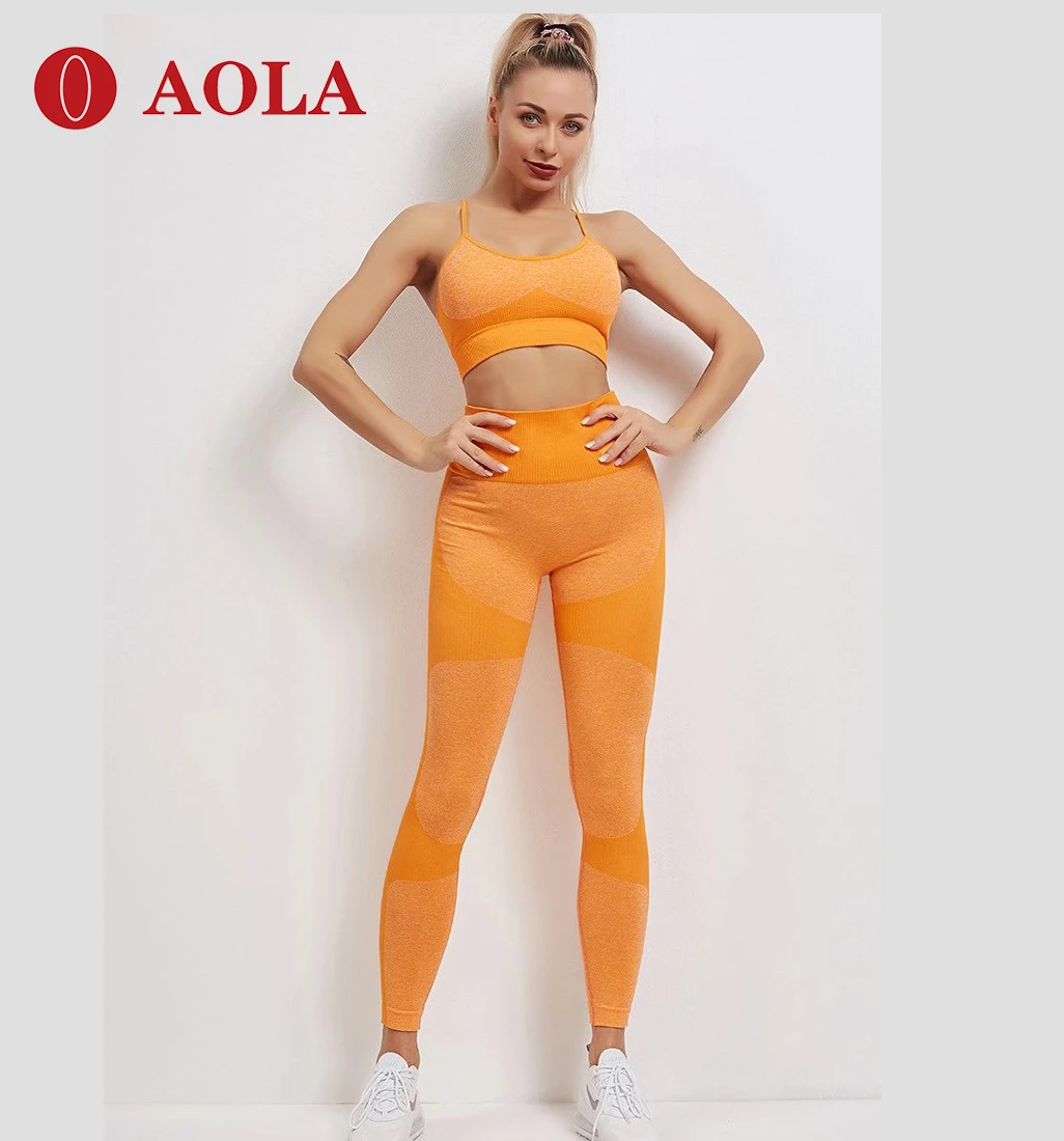 aola wholesale custom sexy seamless sports fitness suits
