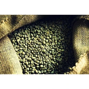 arabica and robusta green coffee beans for sale