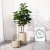 Import Artificial plants, green plants, banyan interior decoration plants green artificial plant from China
