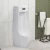 Import automatic portable sensor flush porcelain toilet urine ceramic small ceramic wc urinal for men from China