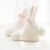 Autumn and winter new coral velvet thickening baby socks 3D cute girl bunny baby socks newborn socks