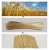 Bar accessories natural biodegradable tea disposable wheat drinking straw for coffee juice