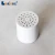 Import Bathroom accessories 10 stages shower head filter from China