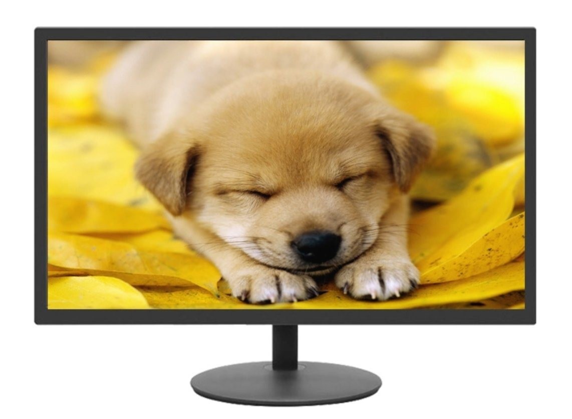Best 22-Inch PC Monitor Black Flat TFT Screen 1080P FHD LED LCD Display with VGA+HDMI Gaming CCTV Computer Monitor