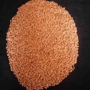 Best quality compound fertilizer NPK 15 15 15 agrochemistry at Amazing Prices