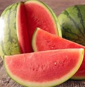 Best Quality Fresh Water melon for sale