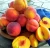 Import Best Quality Juicy Fresh Apricot / Dry Apricot From South Africa from South Africa