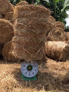 Best Rice straw/Hay for animal