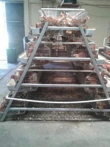 Best selling layer egg chicken cage/poultry farm house design