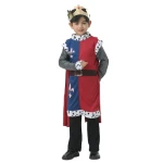 Best Sells Boys Medieval King Arthur Cosplay For Kids Halloween Carnival Party Fancy-dress Costumes