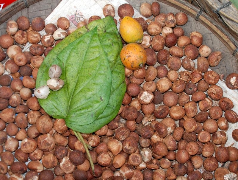 BETEL NUT OR SUPARI FROM MYANMAR NATURAL FLAVOUR IMMEDIATE DELIVERY