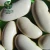 Import Big Size Product Type White Kidney Bean from China