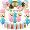 Boy and Girl Baby Shower Party Decoration Gender Reveal Party Supplies with Balloon, Banner, Tissue Pom Poms and Paper Lantern