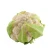 Import Bulk  Fresh Green leaf Vegetables  Frozen Cauliflower Healthy cauliflower chips from China