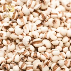 bulk organic protein rich malt barley Barley High Quality Ukraine Pearl Job tears