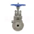 Import BZ41W-16P  Stainless Steel CF8 CF3 CF8M CF3M Insulation Jacket Flange Manual Gate Valve from China