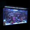 Ce rohs 450nm Aquarium Motion LED Fish Lamp