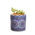 Import Ceramic flower pot garden planters for indoor decoration from China