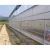 Import Cheap plastic covering for greenhouse from China