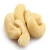 Import Cheap Raw Cashew Nut/ Cashew Nuts W180 W240 W320 W450/ Vietnam Certified WW320 Dried Cashew from Singapore