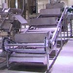 china 100/day donkey meat processing plant