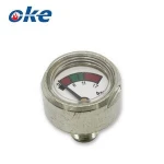 China ABC Fire Extinguisher Mini 6-11 BAR ABS Plastic Seal 1 Inch Diaphragm Brass Pressure Gauge For Fire Extinguisher