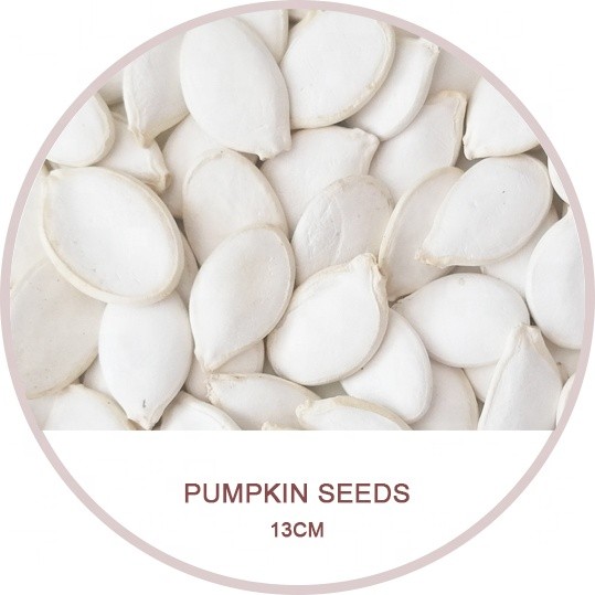 China Manufacture  Organic Pumpkin Seeds Snow White GWS Size 13cm 14cm 15cm