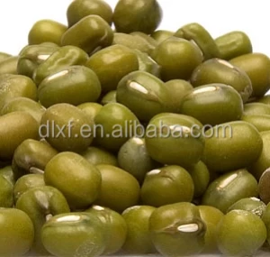 China origin organic green mung beans