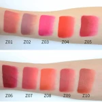 China supplier matte  lip gloss custom logo high pigment velvet  lip gloss