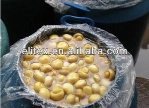 China Wholesale Manufacture Mushrooms in drums