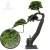 Import Chinese Artificial Pine Tree Fake Landscape Tree for Using from China