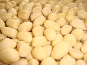 Chinese Blanched Peanuts