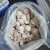 Import Chinese IQF Frozen Baby Octopus/Octopus Ocellatus from China