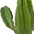 Import Chinese Sale  Immortal column decorative artificial potted plant really tactile succulent aloe plant from China