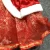 Import Christmas Party Hooded Velvet Santa Claus Girl Dress Costume from China