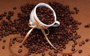 Coffee Bean Coffee Beans Roaster From Vietnam Wholesale coffee