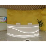 Commercial LED Reception Counter Office Front Desk Beauty Salon Reception Desk