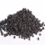 Import Conventional Whole Dried blueberry in best quality from USA
