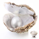 Cosmetic grade pure pearl powder Nano pearl powder