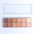 Import Create your own brand trendy 12colors private label acrylic blush organizer blush palette from China
