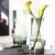 Import Creative Luxury Flower Vase Glass Clear Modern Simple Nordic Glass Vase Home Decoration Flower Vase Glass Clear from China