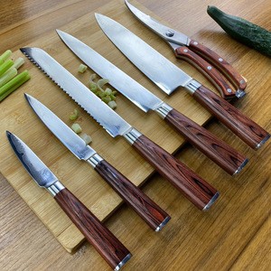 Damascus Steel Chef Knife Color Wood Handle Kitchen Knives Set