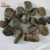 Import Decorative river pebble stone for landscaping from China