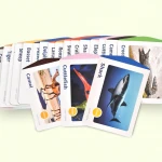 Delivery Fast Educational Game Learning Toys Magic Card